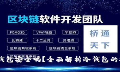 USDT放在冷钱包安全吗？全面解析冷钱包的安全性与优势