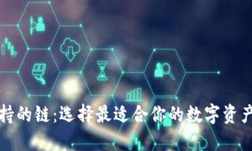 TP钱包支持的链：选择最适合你的数字资产管理方案
