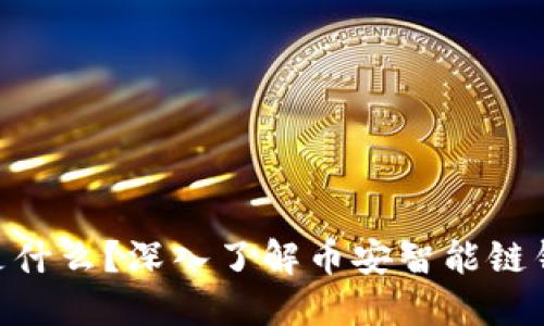 ### BSC钱包是什么？深入了解币安智能链钱包的功能与优势