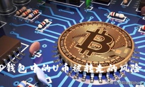 如何应对TP钱包中的U币被转走的风险与解决方案