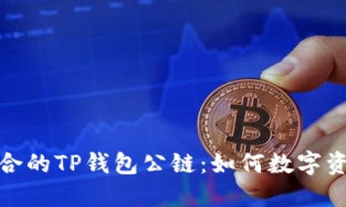 选择适合的TP钱包公链：如何数字资产管理