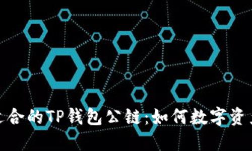 选择适合的TP钱包公链：如何数字资产管理