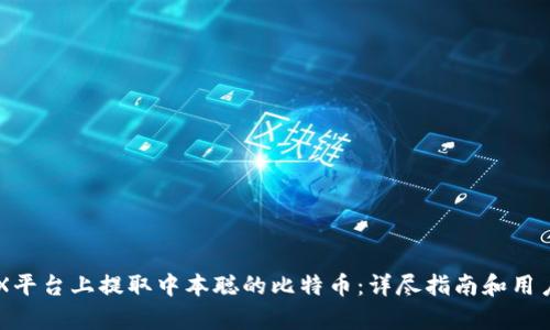 如何在OEX平台上提取中本聪的比特币：详尽指南和用户收益分析