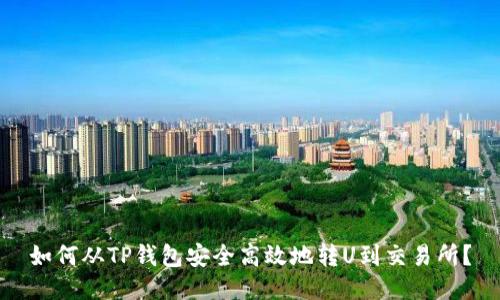 如何从TP钱包安全高效地转U到交易所？