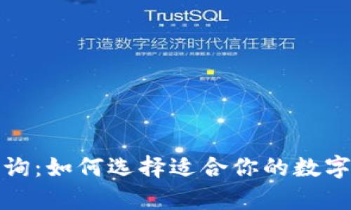 冷钱包价格查询：如何选择适合你的数字资产存储方案