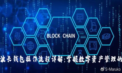 TP钱包与波长钱包操作流程详解：掌握数字资产管理的关键技巧