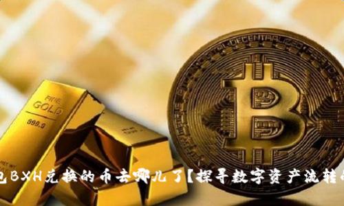 TP钱包BXH兑换的币去哪儿了？探寻数字资产流转的真相