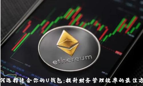   
如何选择适合你的U钱包：提升财务管理效率的最佳方案