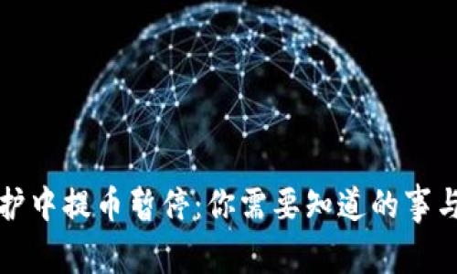 TP钱包维护中提币暂停：你需要知道的事与解决方案