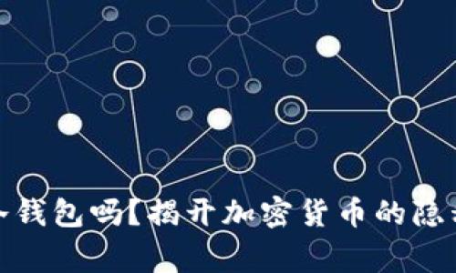 警察能查到冷钱包吗？揭开加密货币的隐私与追踪之谜