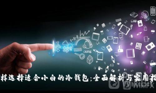 怎样选择适合小白的冷钱包：全面解析与实用指南