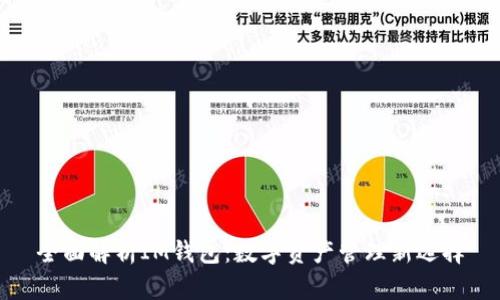 全面解析IM钱包：数字资产管理新选择