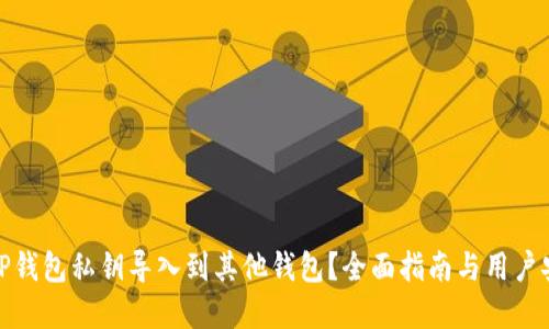 如何将TP钱包私钥导入到其他钱包？全面指南与用户安全建议