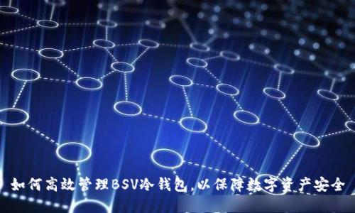 如何高效管理BSV冷钱包，以保障数字资产安全
