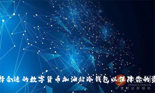 如何选择合适的数字货币加油站冷钱包以保障你的资产安全