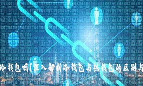 快钱包是冷钱包吗？深入解析冷钱包与热钱包的区别与应用价值