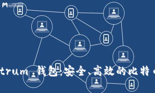 全面解析 Electrum 钱包：安全、高效的比特币存储解决方案