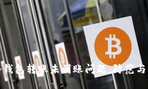 如何解决冷钱包转账未到账问题：防范与应对全攻略
