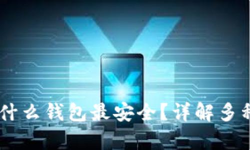 USDT存放在什么钱包最安全？详解多种选择与优势