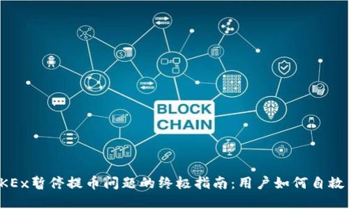 解决OKEx暂停提币问题的终极指南：用户如何自救与应对