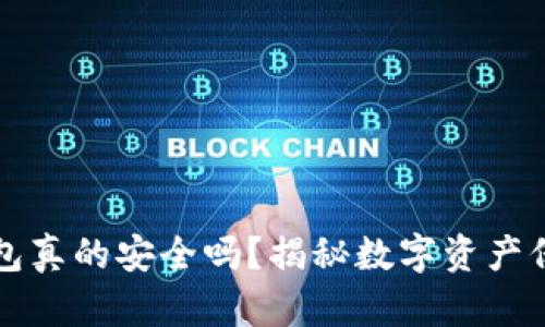 小狐狸钱包真的安全吗？揭秘数字资产保护的真相