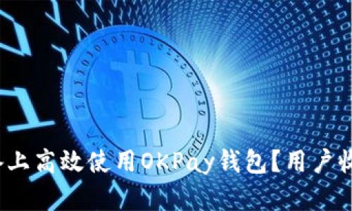 如何在iOS设备上高效使用OKPay钱包？用户收益与技巧解析