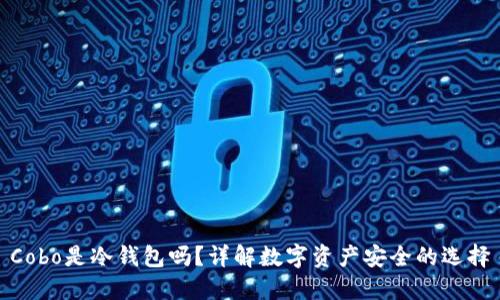 Cobo是冷钱包吗？详解数字资产安全的选择