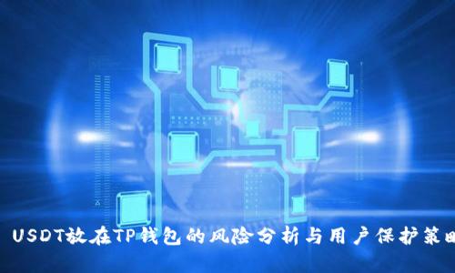 : USDT放在TP钱包的风险分析与用户保护策略