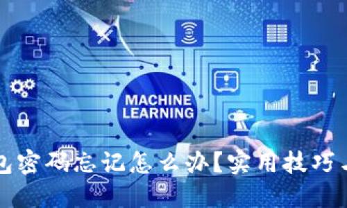 比特币钱包密码忘记怎么办？实用技巧与找回方案