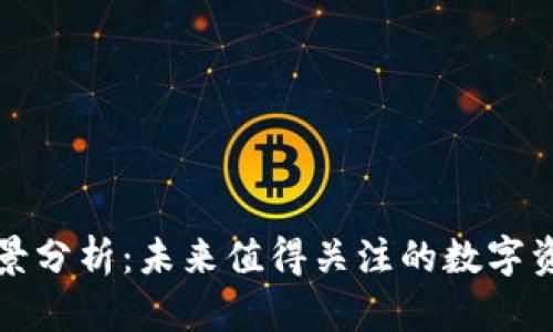TP钱包的前景分析：未来值得关注的数字资产管理工具