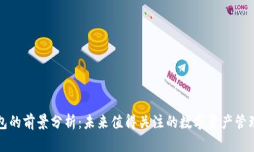 TP钱包的前景分析：未来值得关注的数字资产管理工具