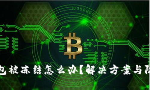 数字货币钱包被冻结怎么办？解决方案与防范技巧详解
